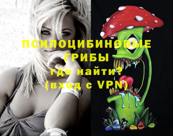 прущий лед Ладушкин