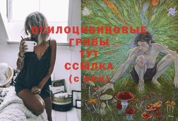прущий лед Ладушкин