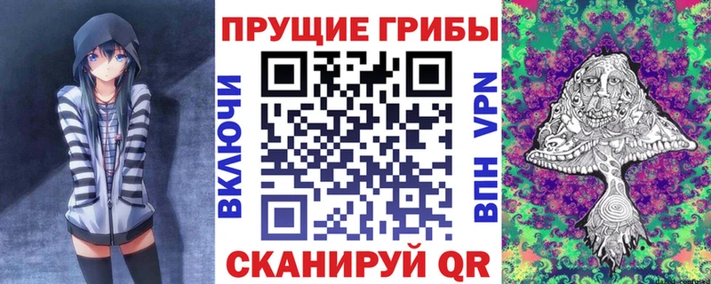 купить закладку  Тында  Псилоцибиновые грибы MAGIC MUSHROOMS 